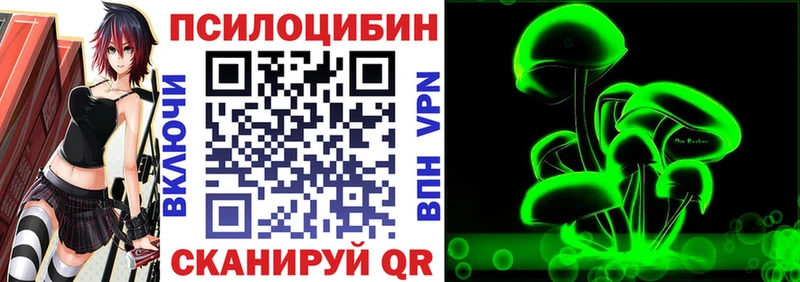 hydra ТОР  Ак-Довурак  Галлюциногенные грибы Psilocybe 